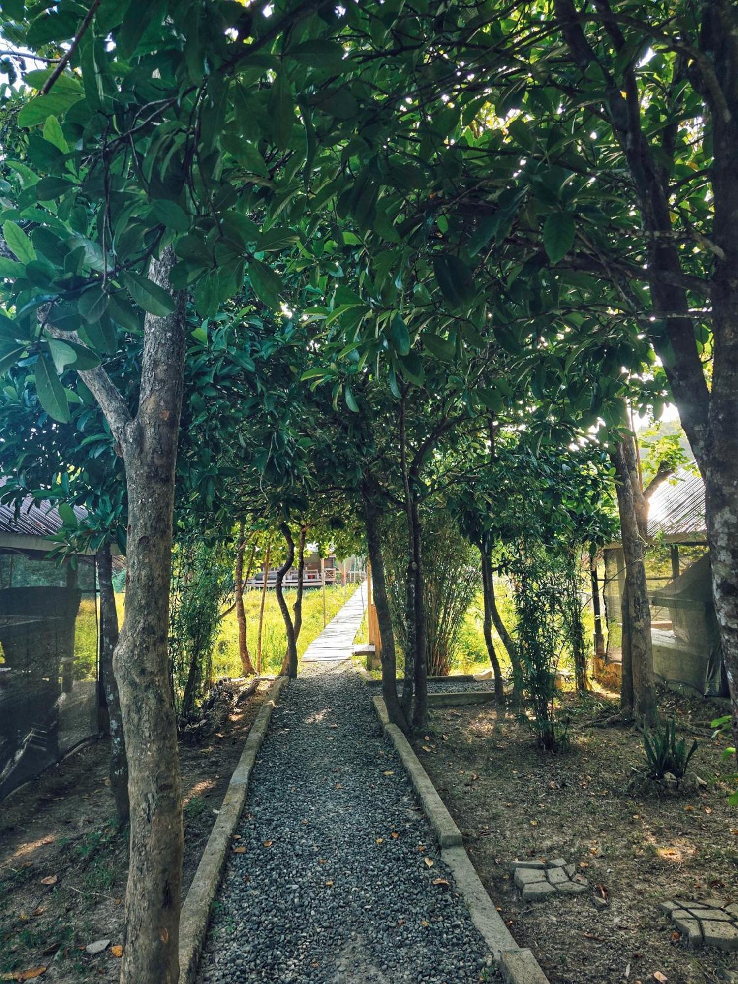 Cabanas De Nacpan Camping Resort Ель-Нідо Екстер'єр фото
